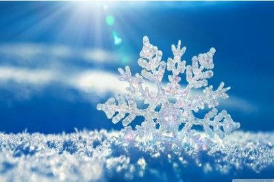 4°Torneo d'inverno