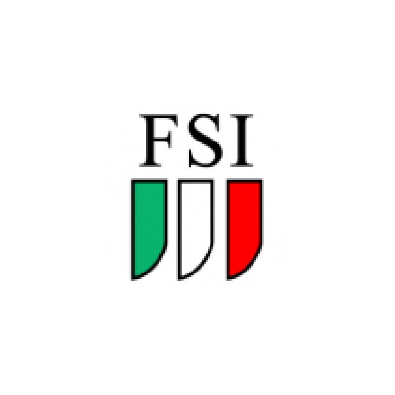 FSI Logo